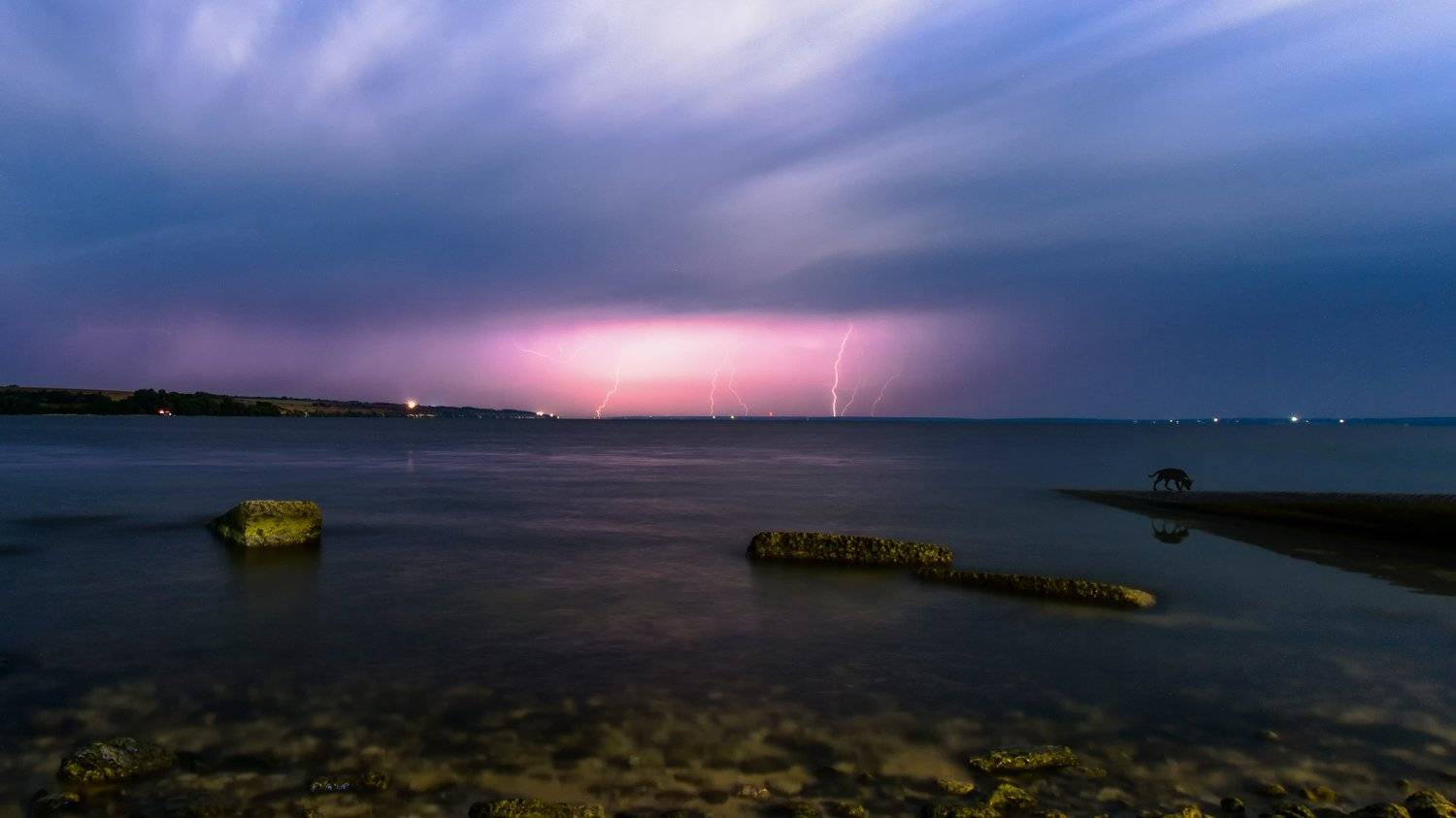 , Волков Анатолий