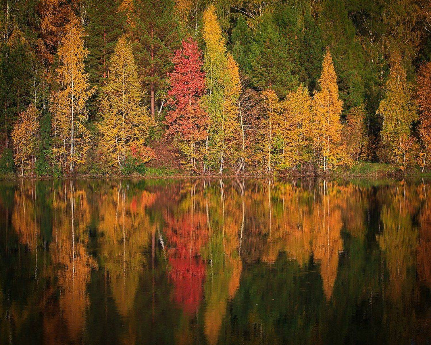 , Александр Казин