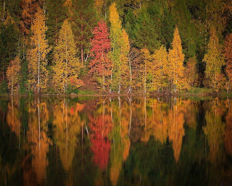 Не проходите мимо, у нас красиво фото превью