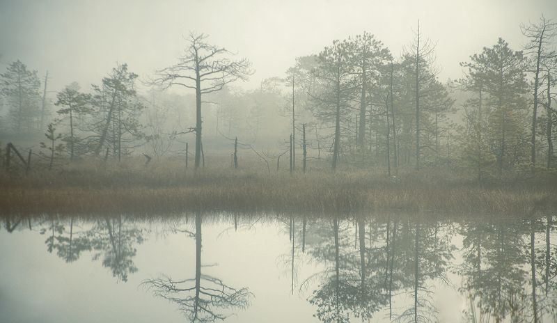 ...утро туманное фото превью