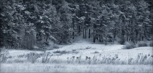 Зимненько...