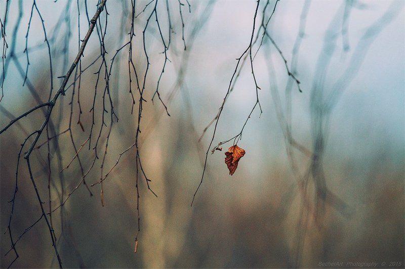 I Will Fall фото превью