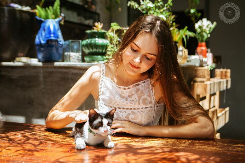 Sunshine and Cat фото превью