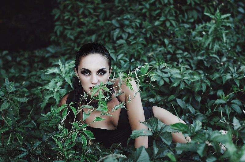 floral фото превью