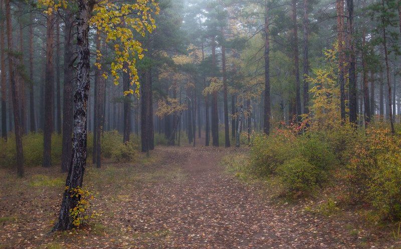 Сентябрьским утром фото превью