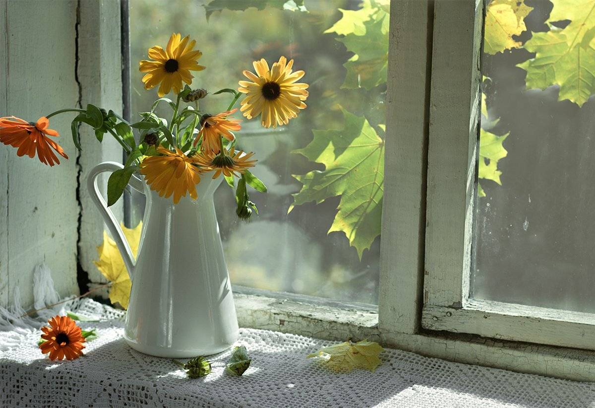 , Наталья Бочкарева