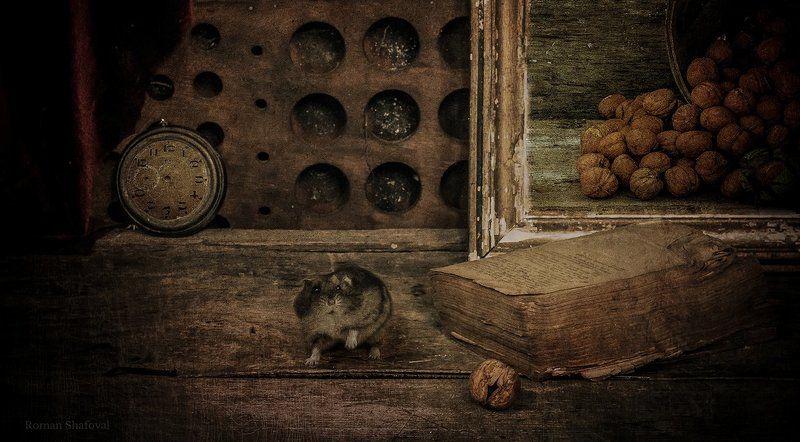 Книга, Натюрморт, Орехи, Роман Шафовал, Хомяк, Часы мечты сбываются.... фото превью