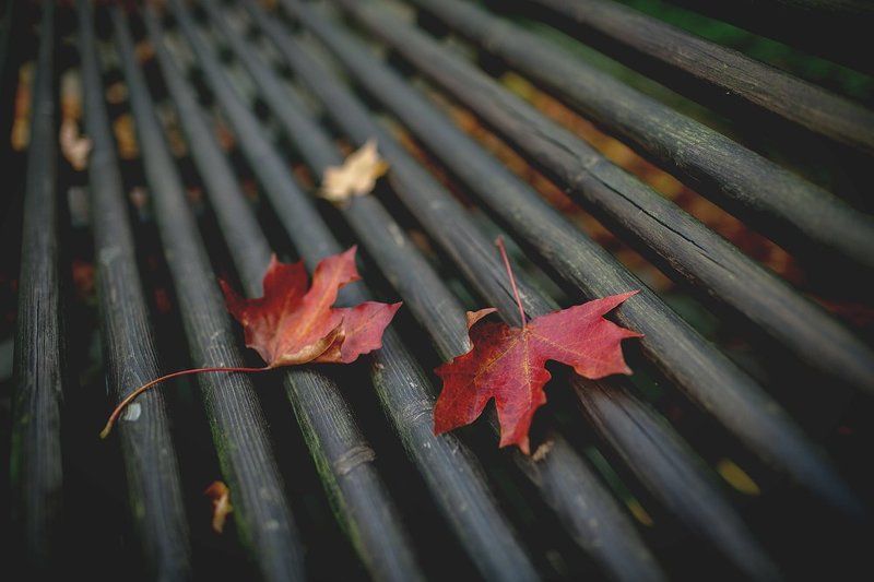 Осеннее чувство... фото превью