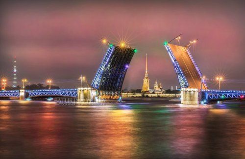 Розовые сны Дворцового моста