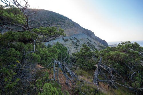 Утро на Утрише