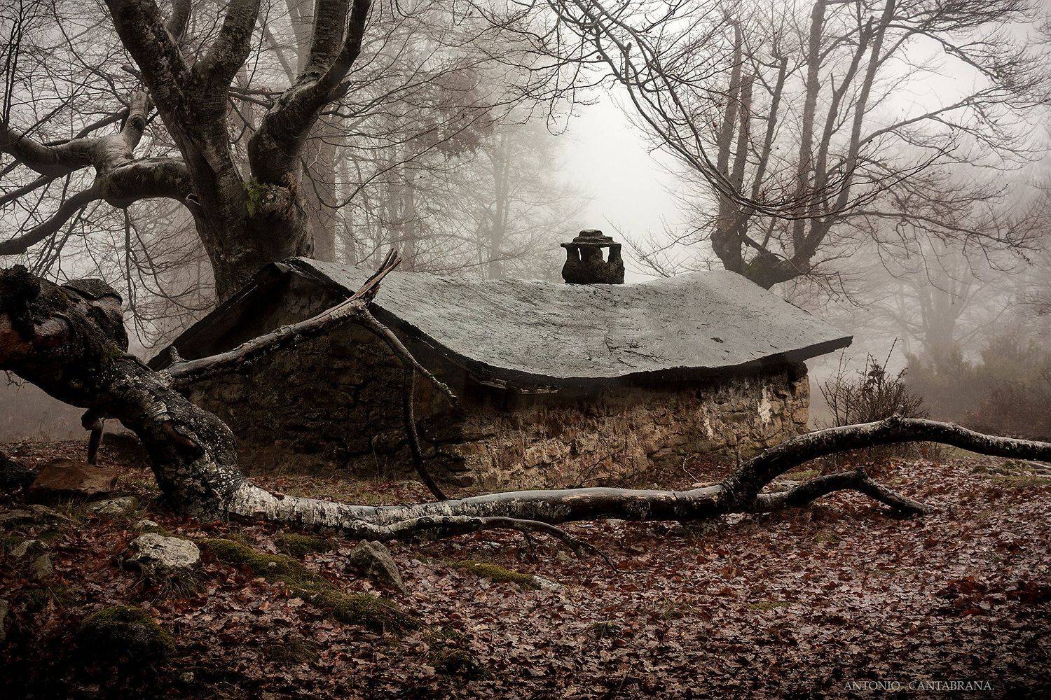 , Antonio Cantabrana