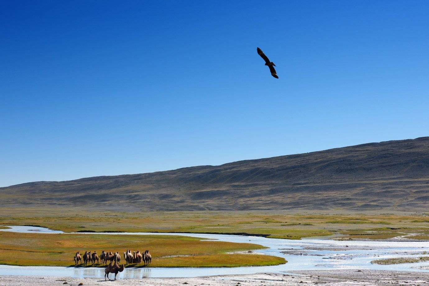 , Сергей Романчук