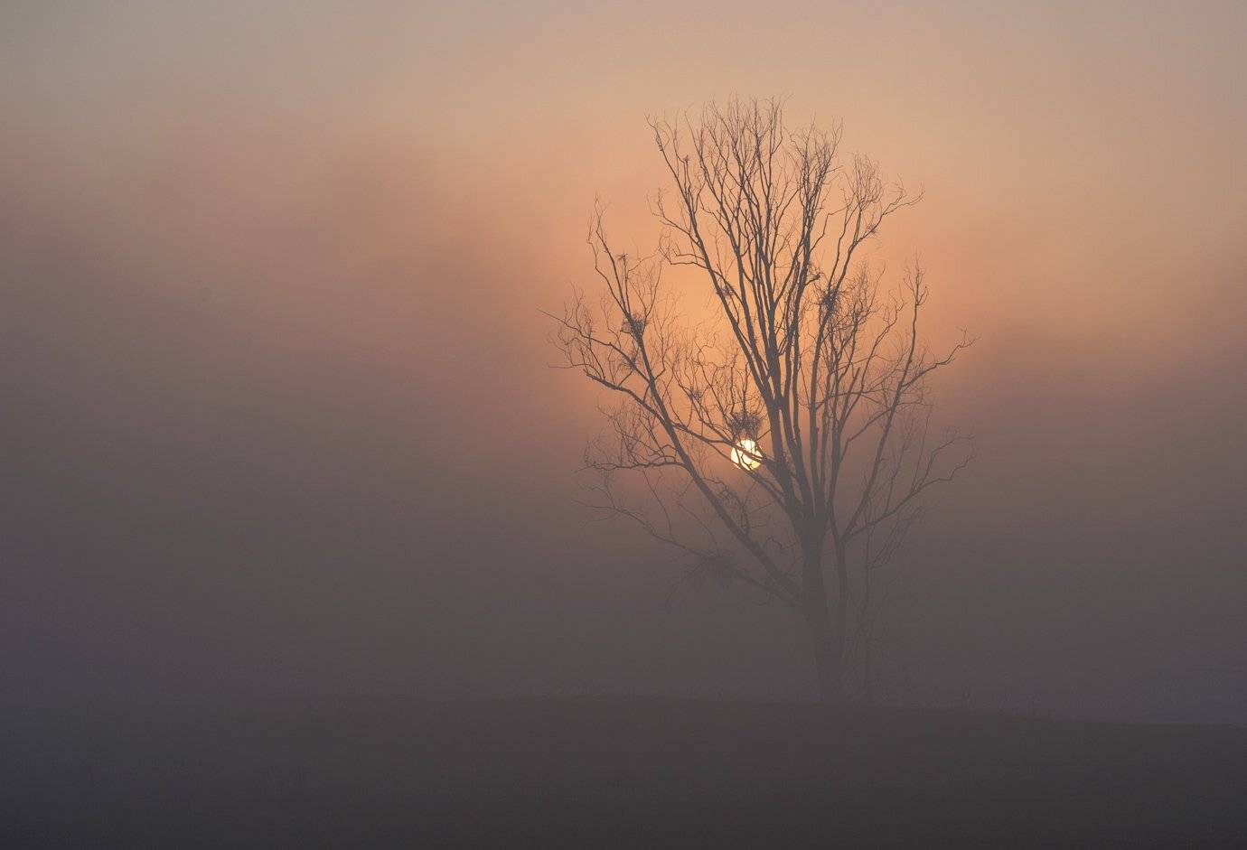 , Володимир Карчевський