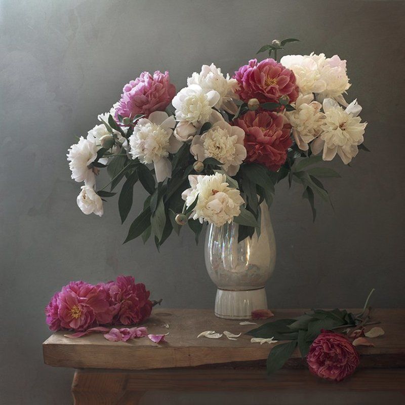 пионы фото превью