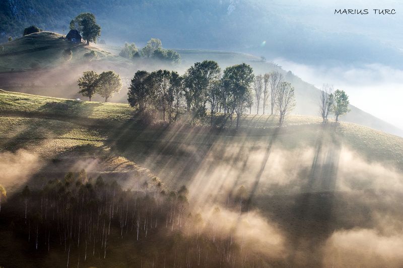 morning,mist,fog,nature,nature,trees,light,hills Mistic morning фото превью