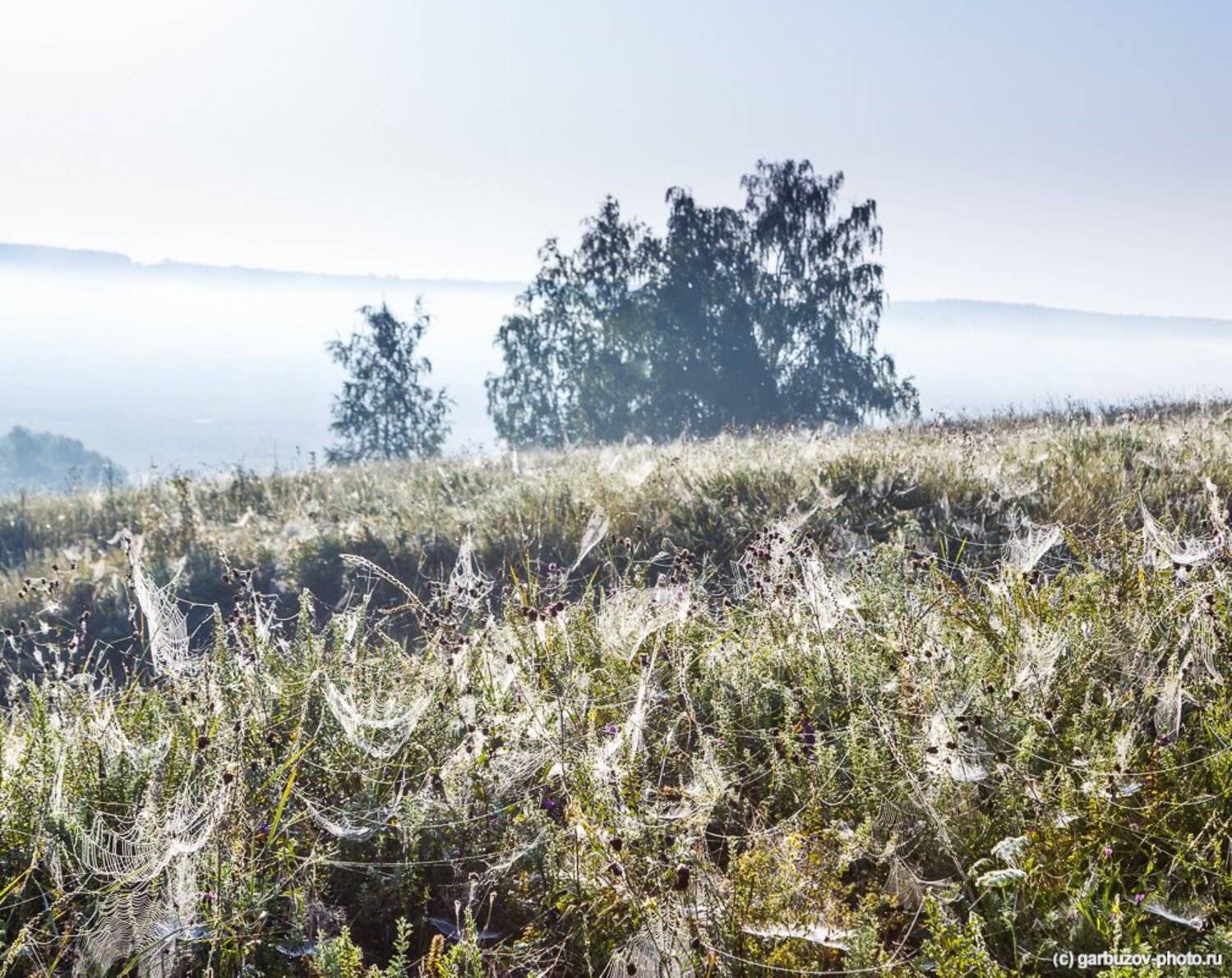 , Гарбузов Илья