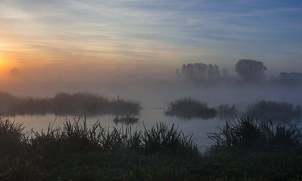 , Pawel Plucinski