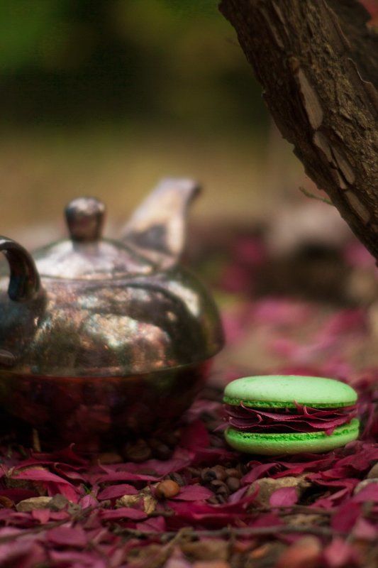 International Floral Art 2016-2017 фото превью