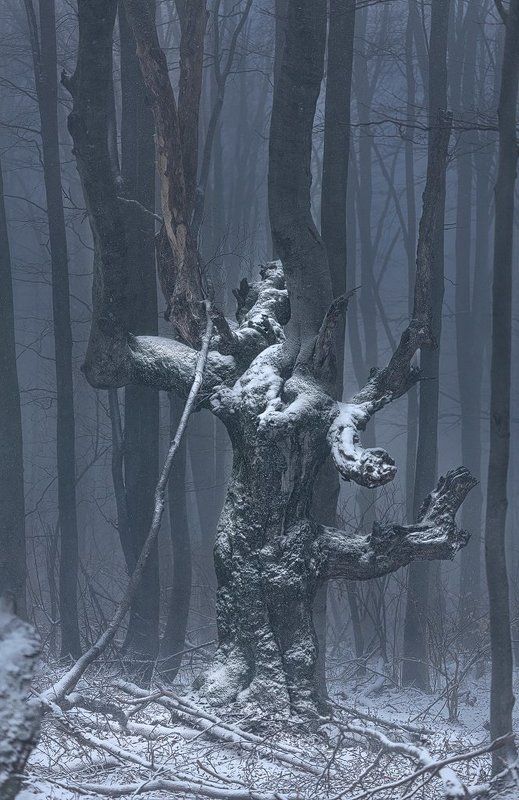 На Шипке все спокойно... фото превью