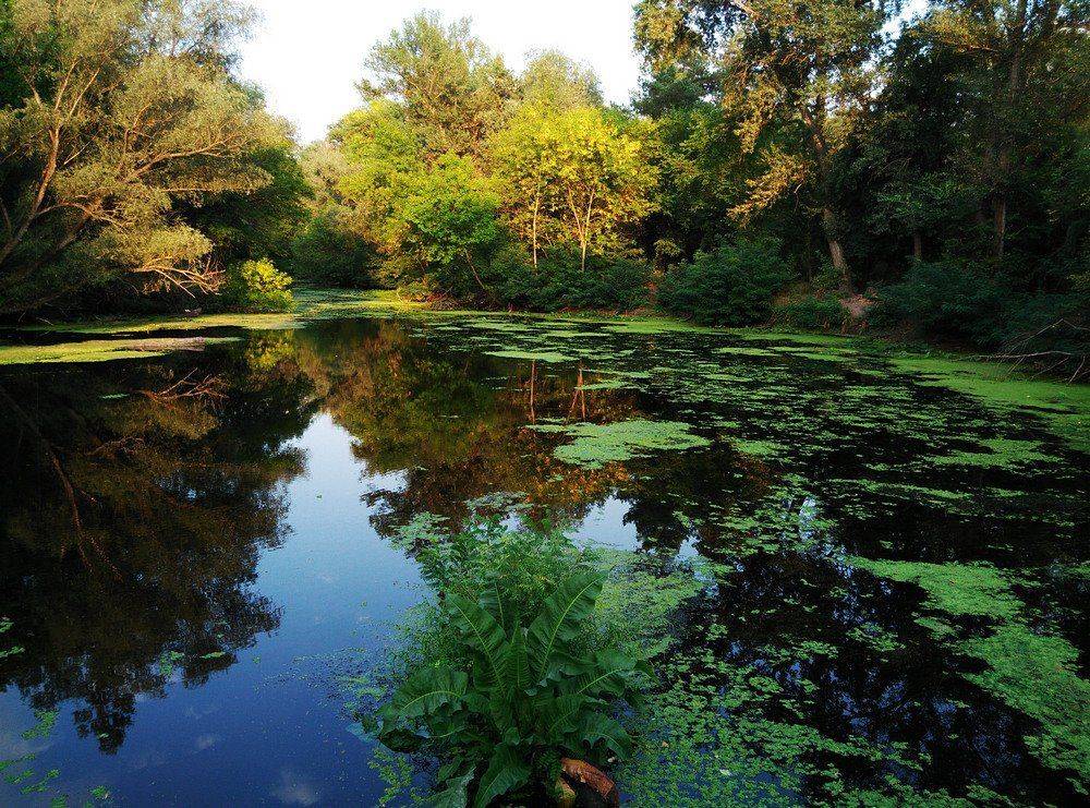 , Сергей Богачёв