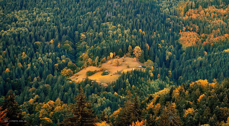 Карпаты Карпатская осень. фото превью