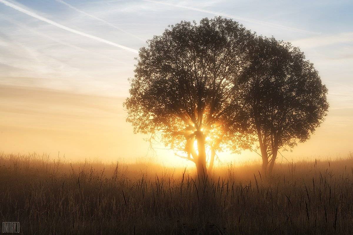 , Дмитрий Доронин