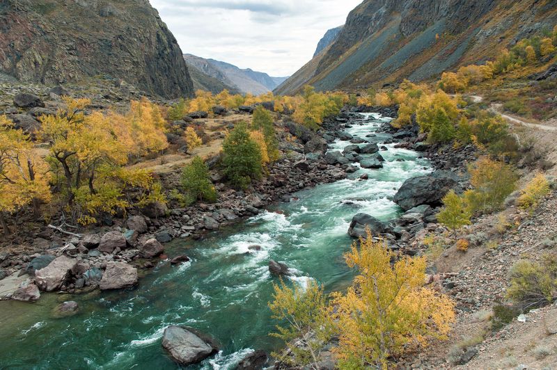 Autumn, Горный алтай, Горы, Изумрудная река, Осень, Река Изумрудный Чулышман фото превью