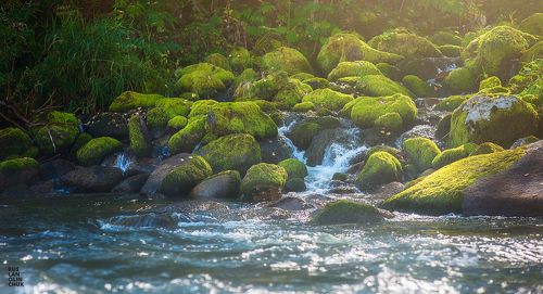 Чистейшая Иня