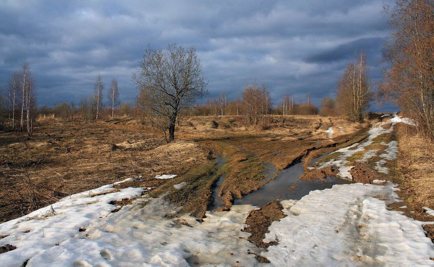 весна, дорога, Свистков Александр