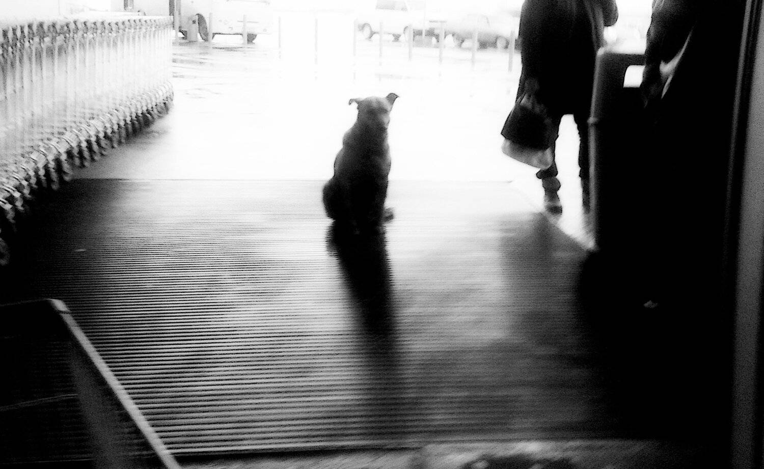 , Виктор Бойко