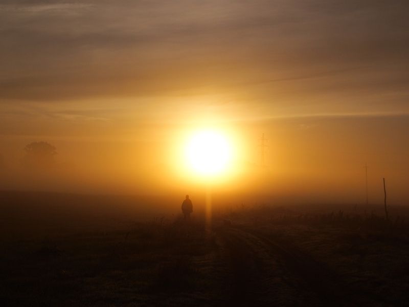 Странник идущий к рассвету... фото превью