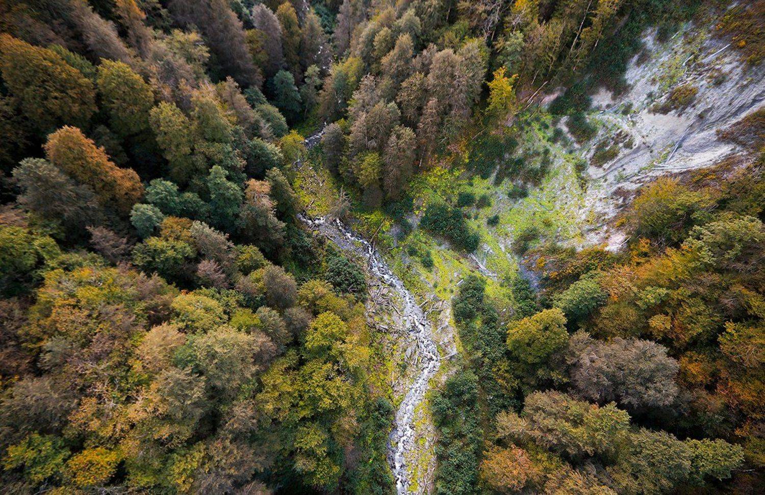 , Александр Казин