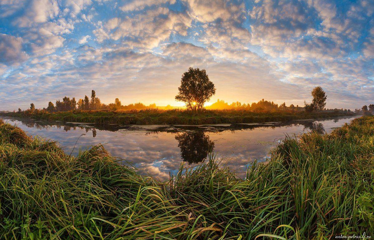 Осень, Рассвет, Река, Туман, Антон Петрусь