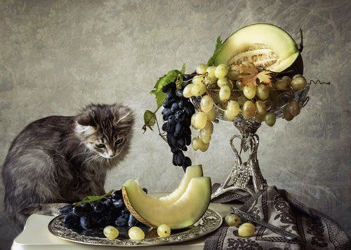 Случайная гостья