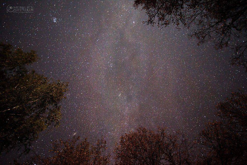 , Сергей Сотников