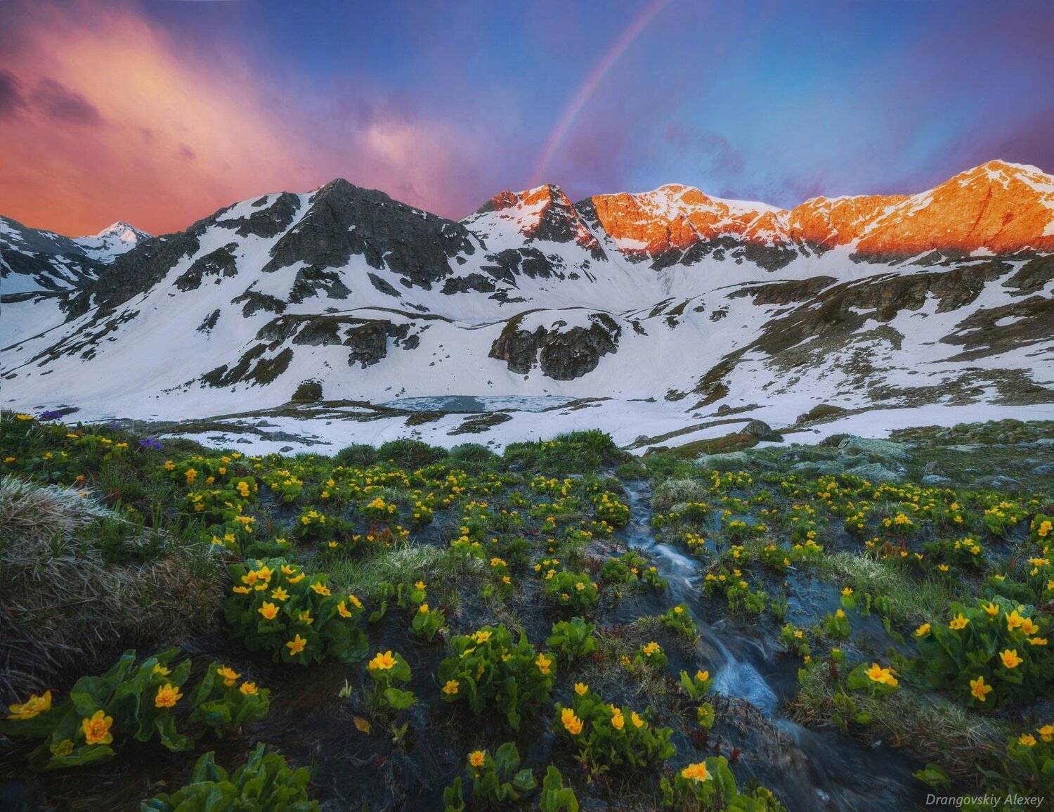 , Алексей Дранговский