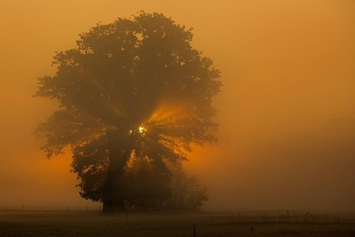 , Pawel Plucinski
