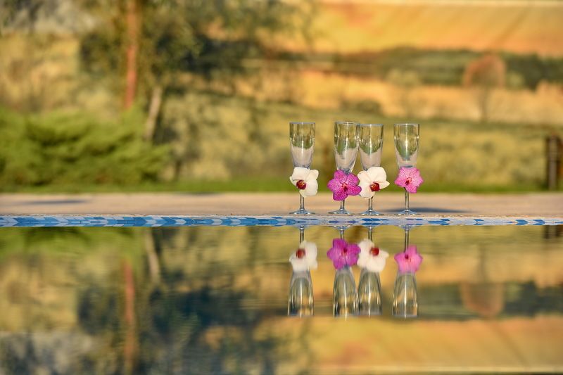 nature, glasses, reflection, water Wedding Glasses фото превью