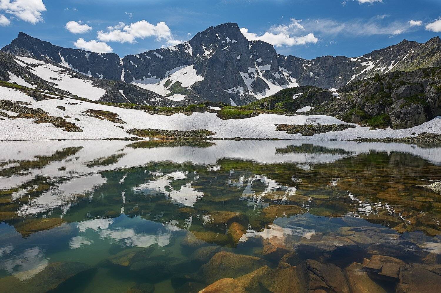 , Юра Тараник