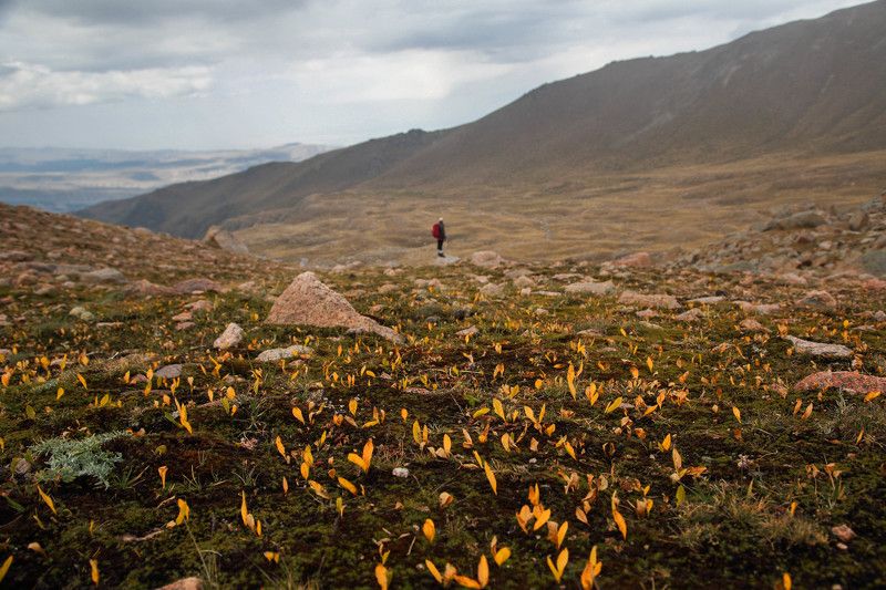 Перевал Айдарыс и Казачьи озера : Казахстан фото превью