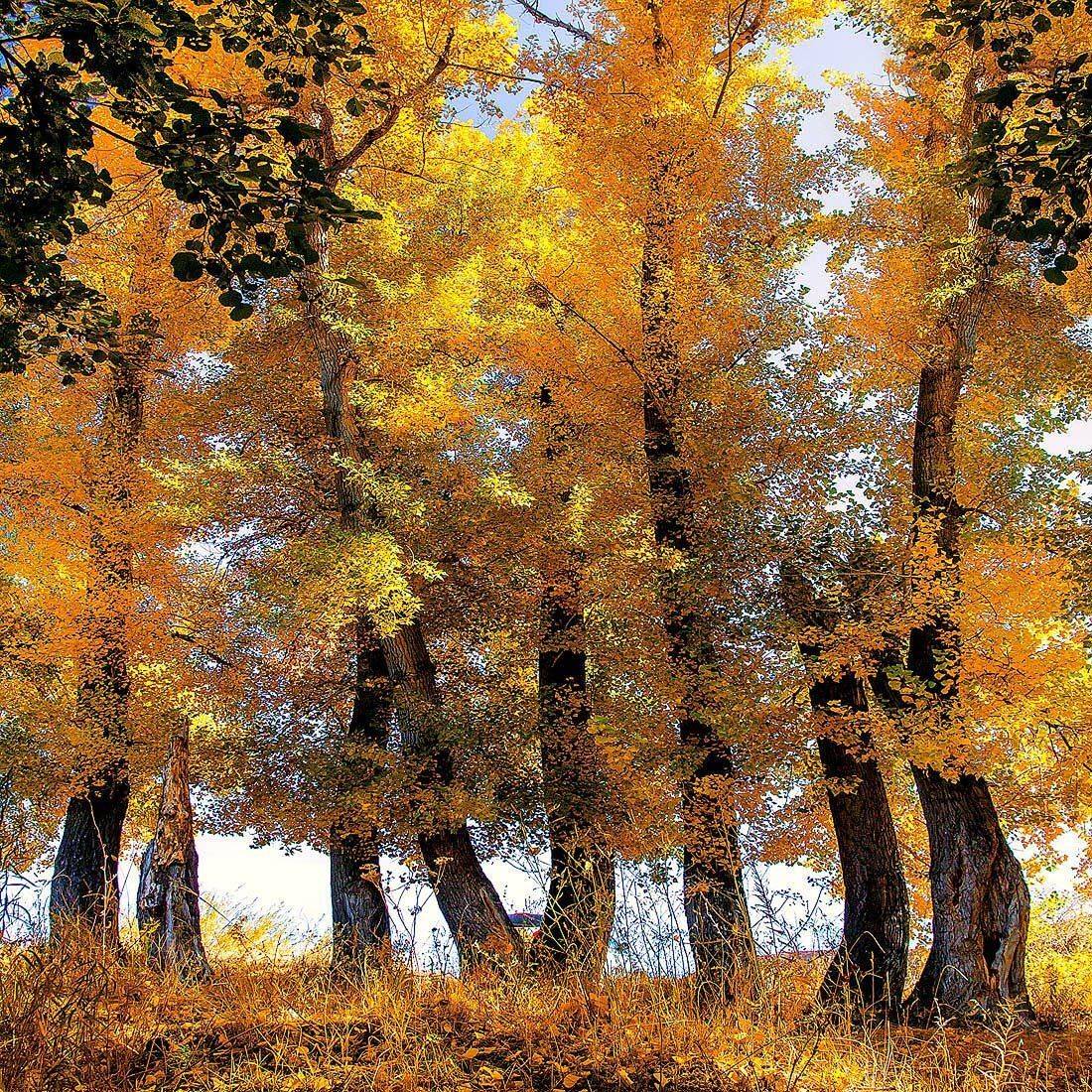 Орск Качурин Южный Урал, Качурин Алексей