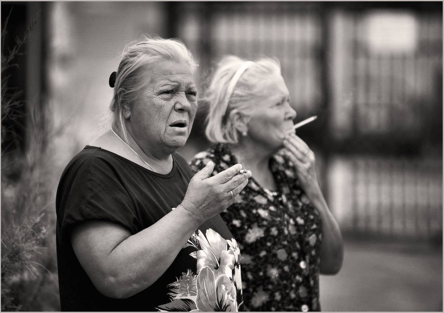 , Борис Пирог