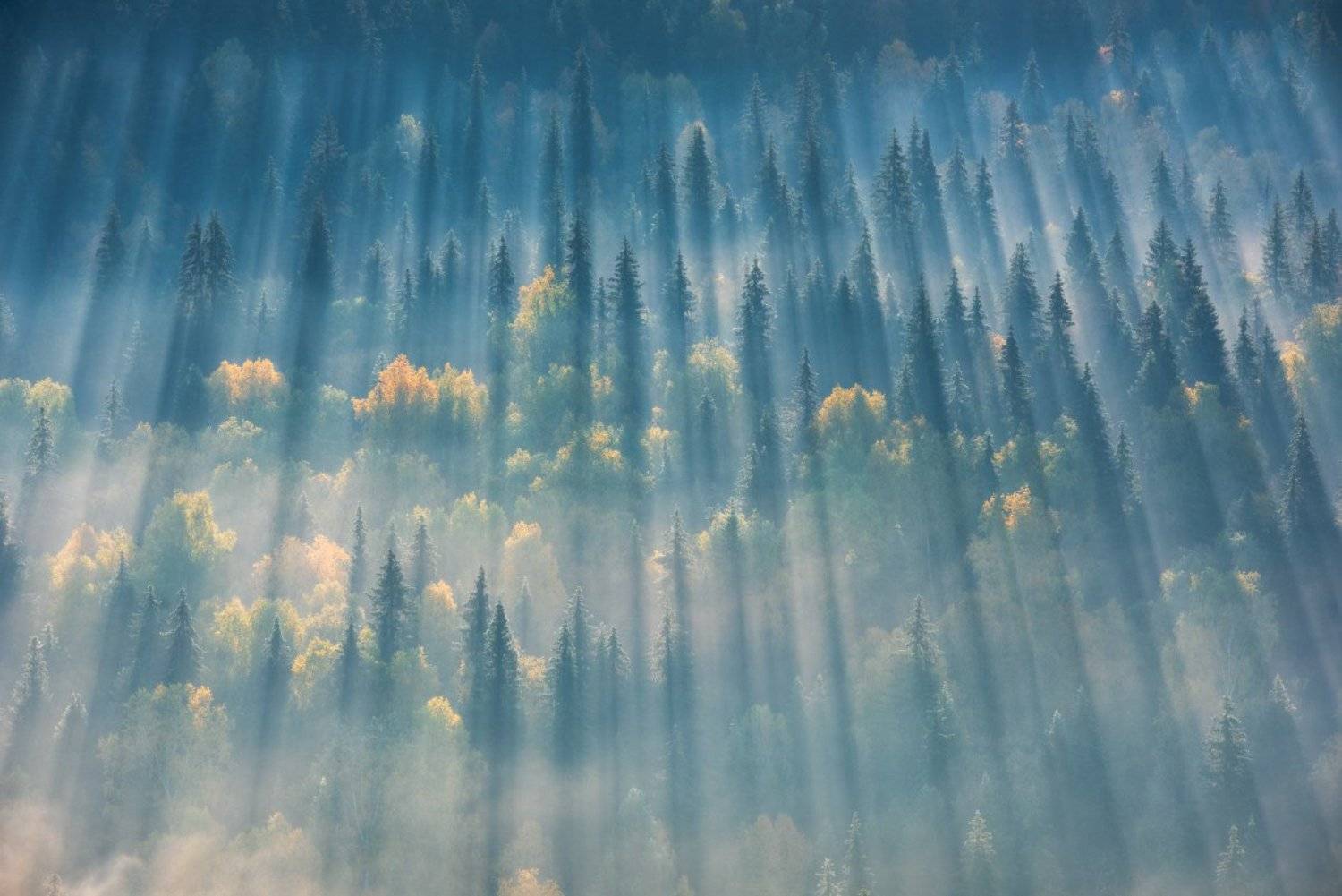 Лес, Лучи, Осенний лес, Осенний пейзаж, Пейзаж, Пермский край, Рассвет, Россия, Тайга, Туман, Урал, Усьва, Усьвинские столбы, Утро, Вадим Балакин