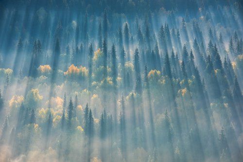 Первые лучи