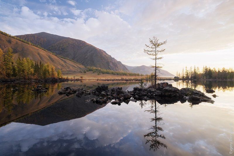 Бурятия, Древо, Лава, Небо, Облака, Озеро, Осень, Остров, Отражения, Рассвет Остров лавы фото превью