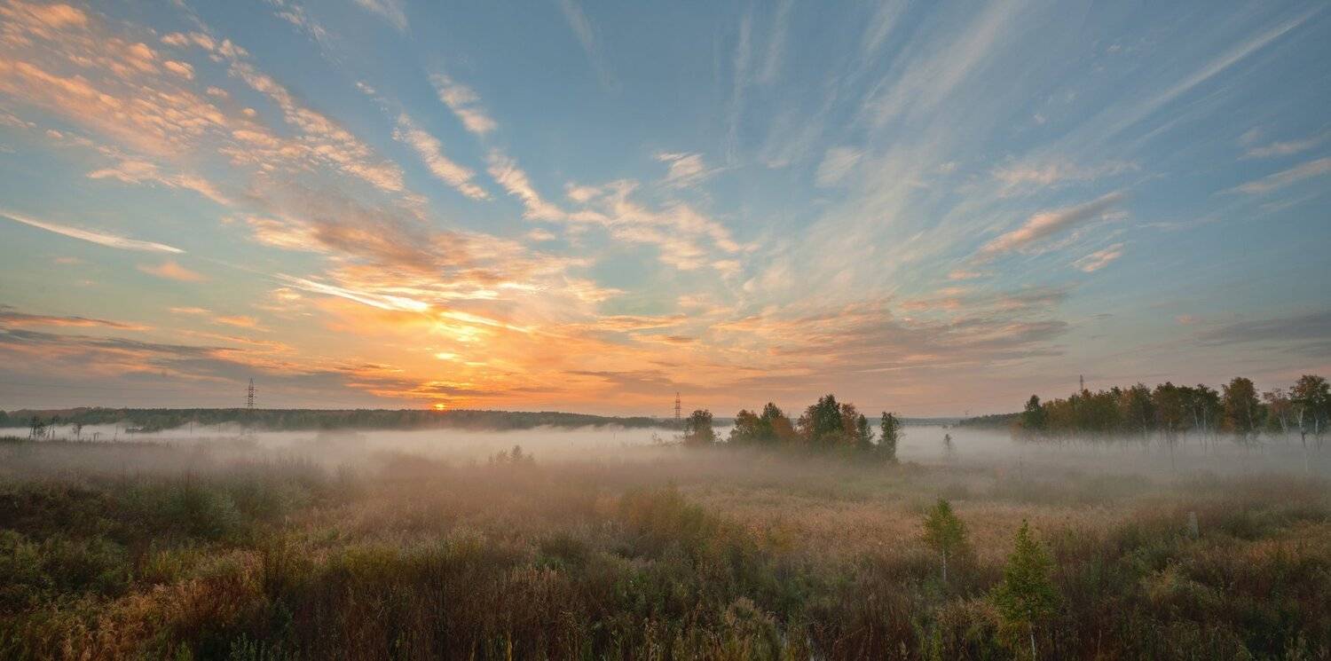 , Олег Богданов