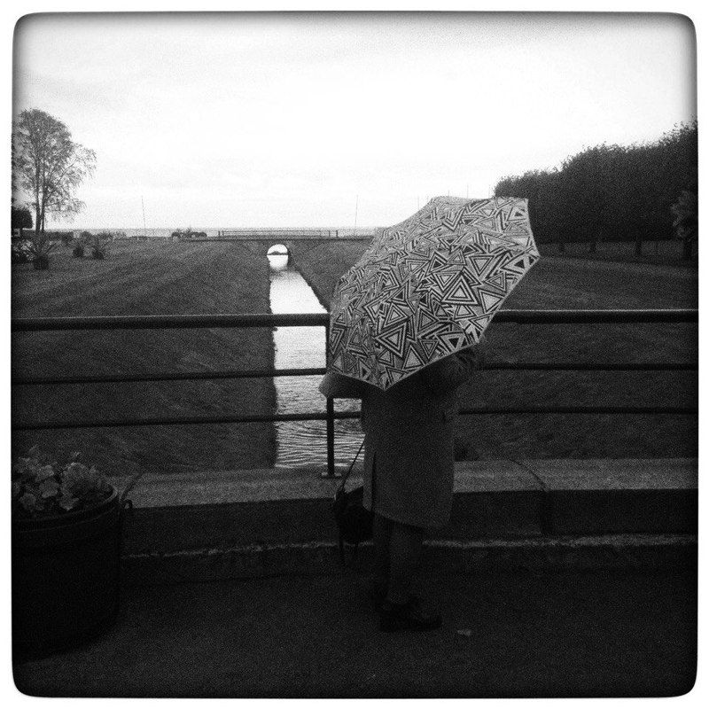 bw rain genre  фото превью