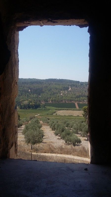 Взгляд фото превью