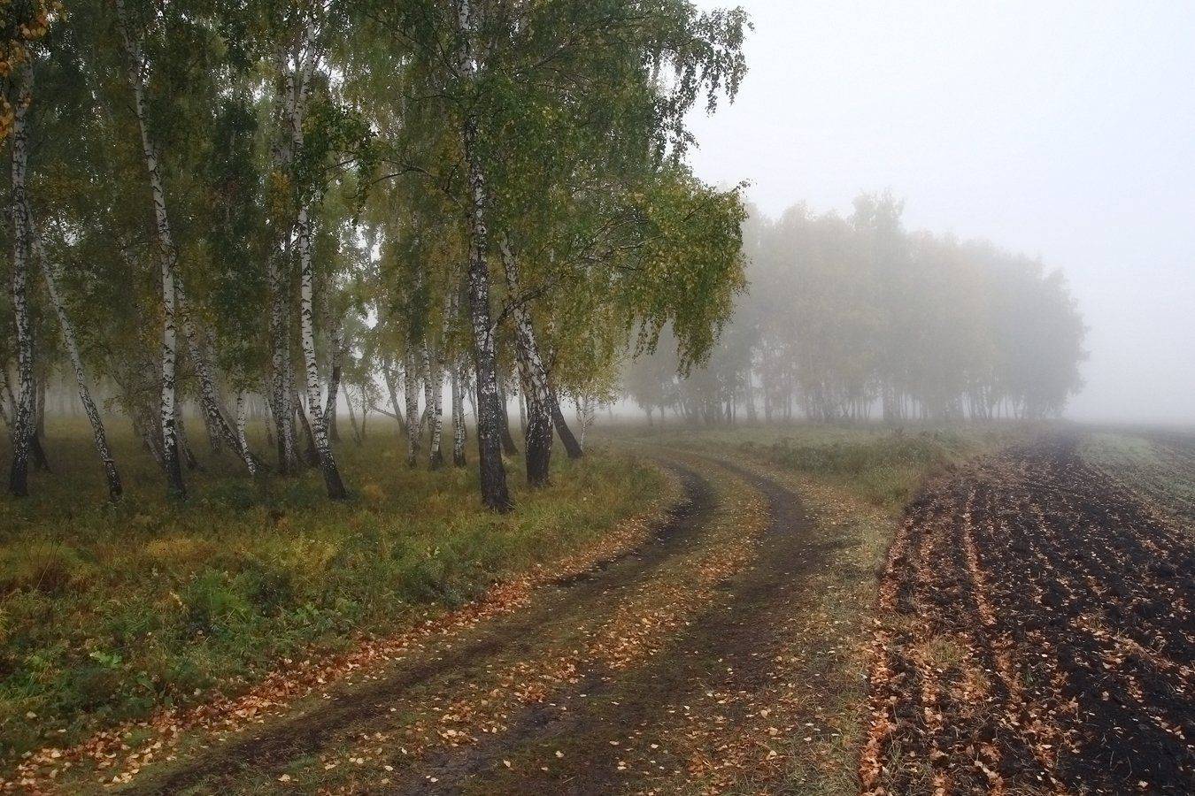 , Дмитрий Д.