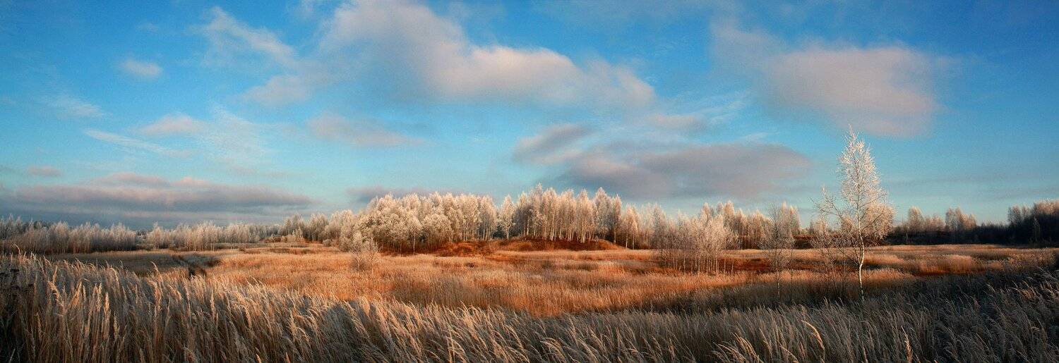 зима, Свистков Александр